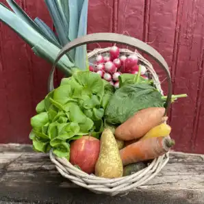 Panier-de-legumes