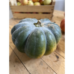 Courge musquée de provence