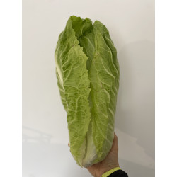 Salade pain de sucre