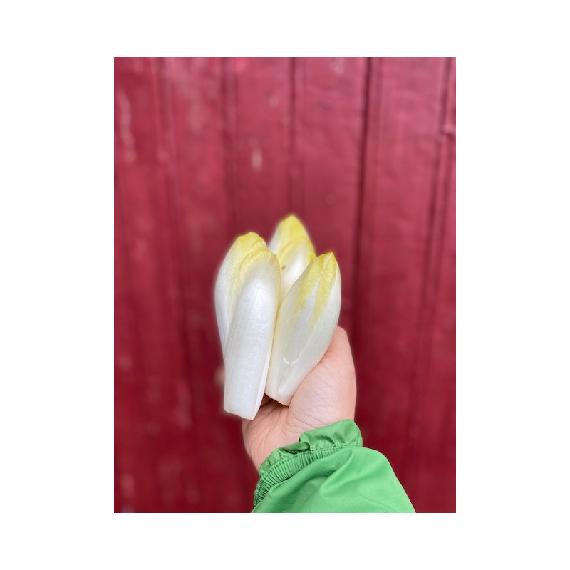Endives