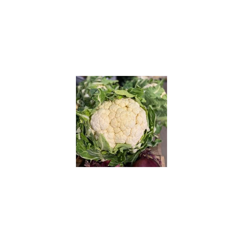 Chou fleur