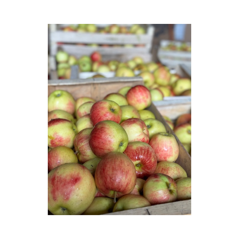 Cagette de pommes  5KG