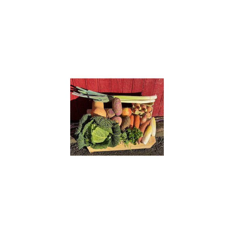 Panier de légume de la semaine
