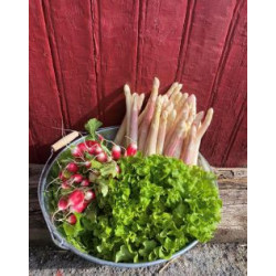 Asperges blanches