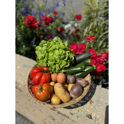 Panier de légume de la semaine du 19/04/2025