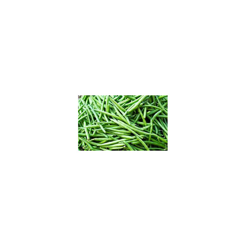Haricots verts FRAIS