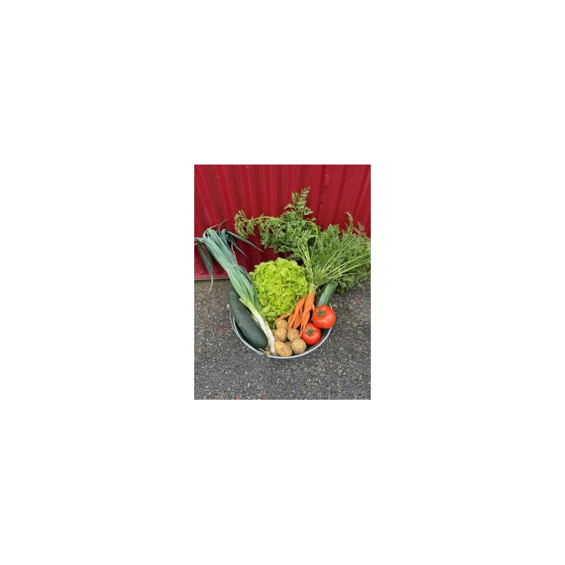 Panier de légume de la semaine du 19/09/2025
