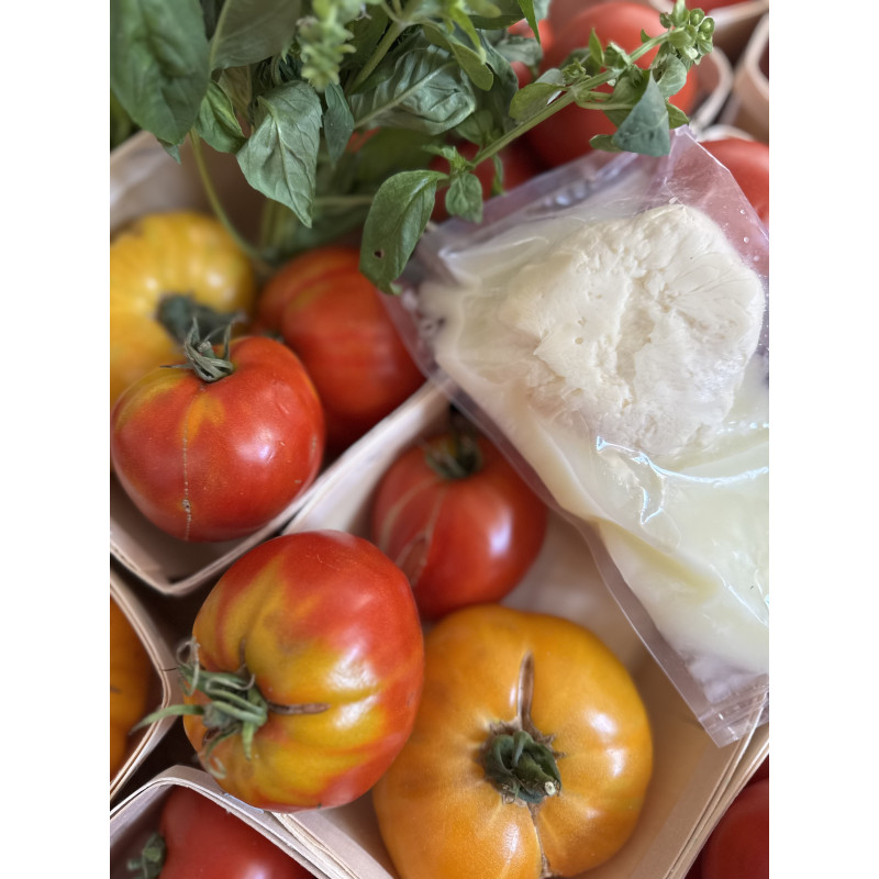 Mozzarella fermière