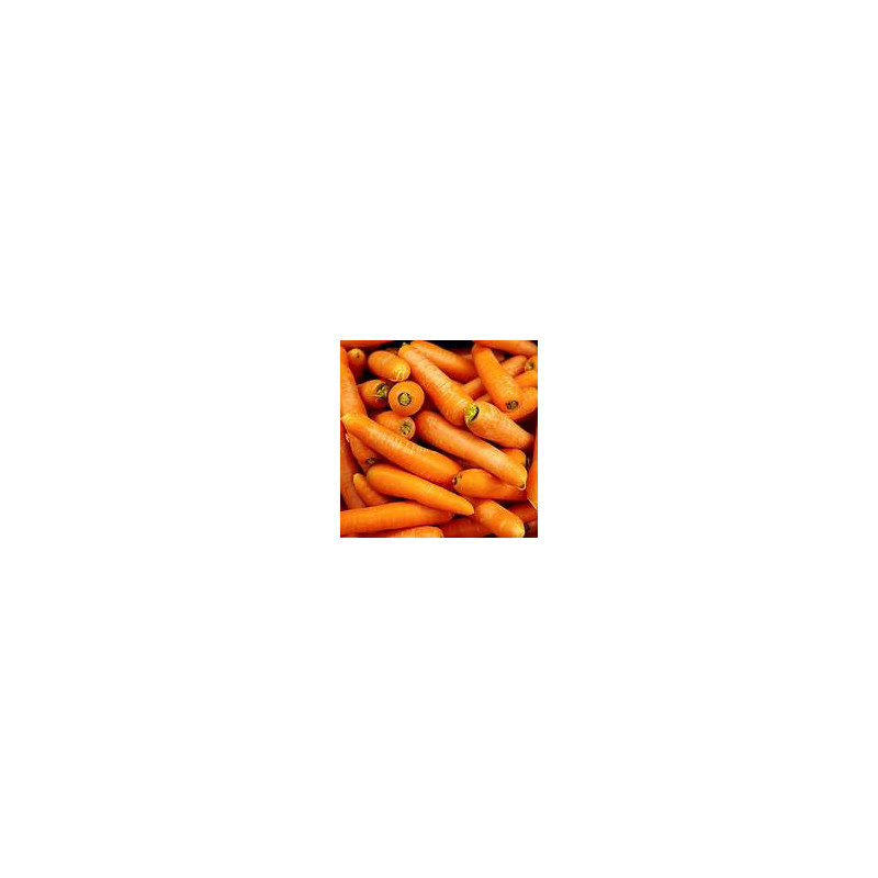 Filet de carottes 3kg
