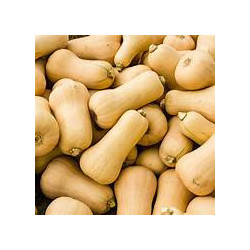 Filet de butternuts 5kg