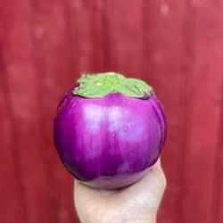 Aubergines