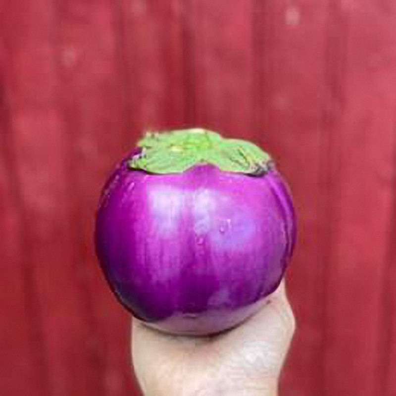 Aubergines
