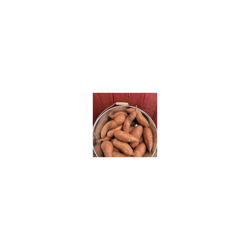 Patates douces